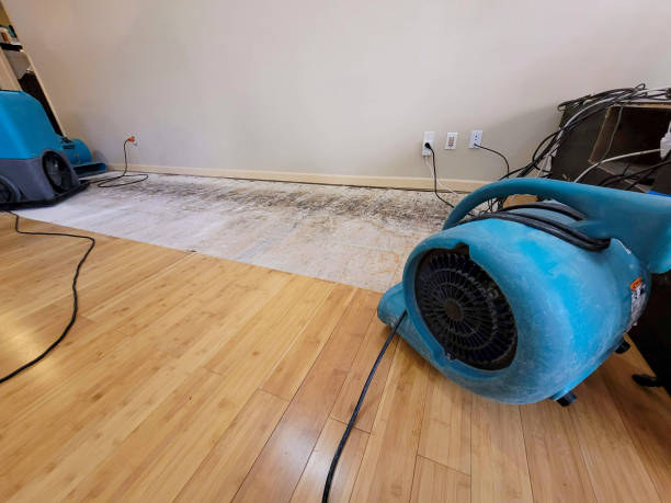 Professional Flood Damage Cleanup technician working in East Andover, ME
